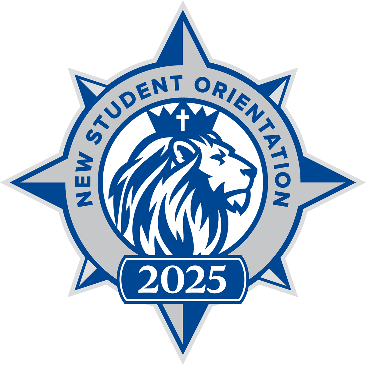 NSO Logo Web